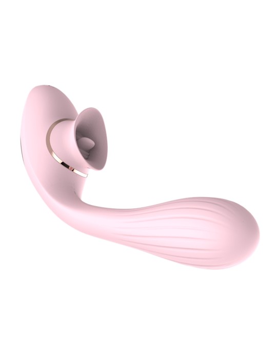 2 en 1 Stimulateur de clitoris avec langue et vibromasseur pour G USB flexible rose DISA - WS-NV025PNK