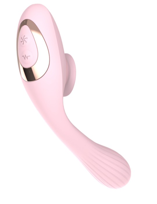 2 en 1 Stimulateur de clitoris avec langue et vibromasseur pour G USB flexible rose DISA - WS-NV025PNK